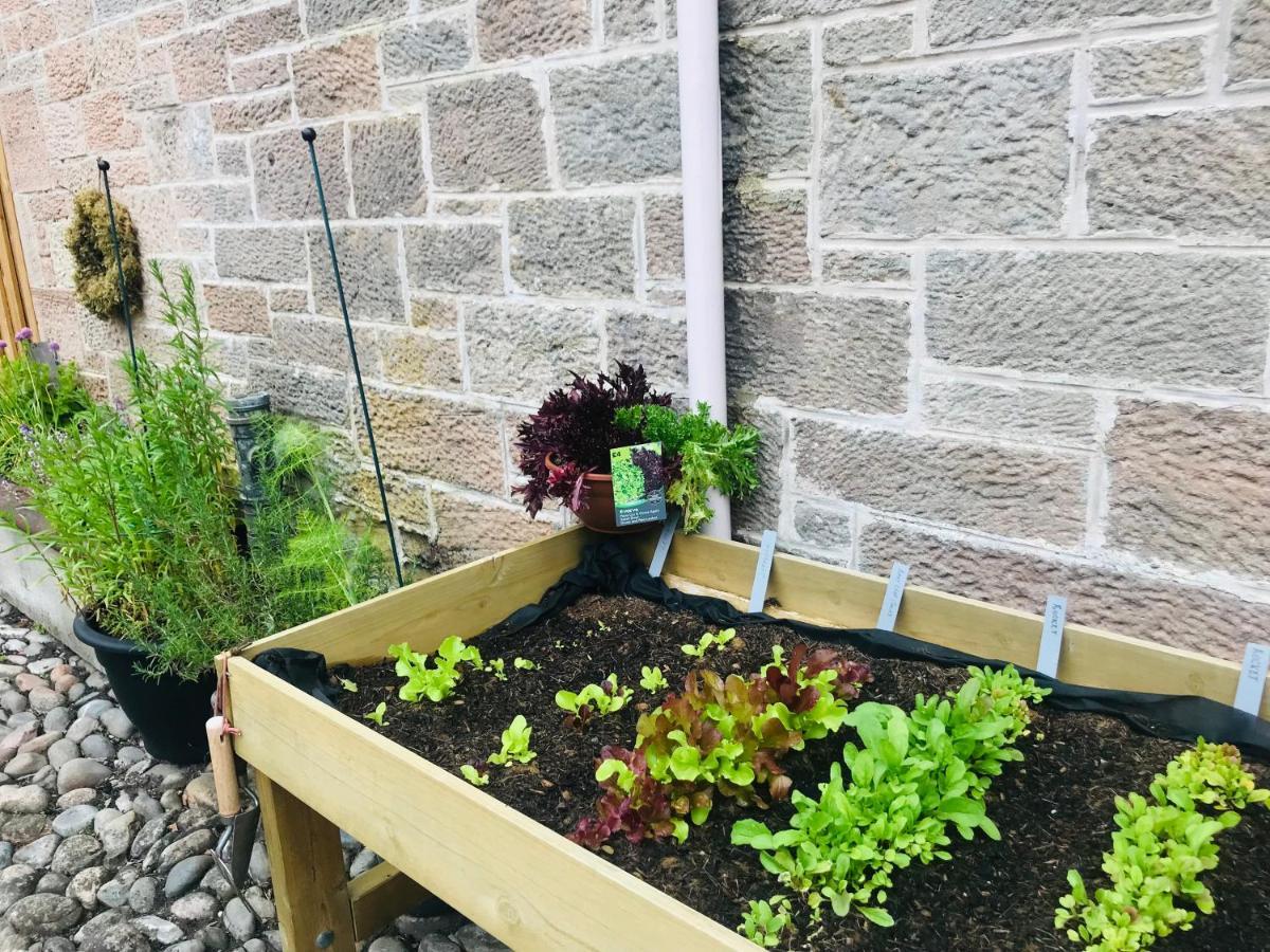 Brylach Steading Aberlour Zewnętrze zdjęcie